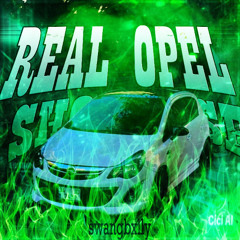 REAL OPEL SHOWCASE[!!SOON ON ALL PLATS!!]