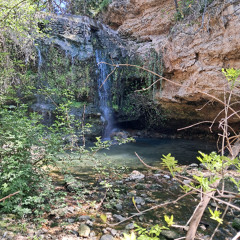 07/25- Grégoire Sourice... La pluie continuera de tomber