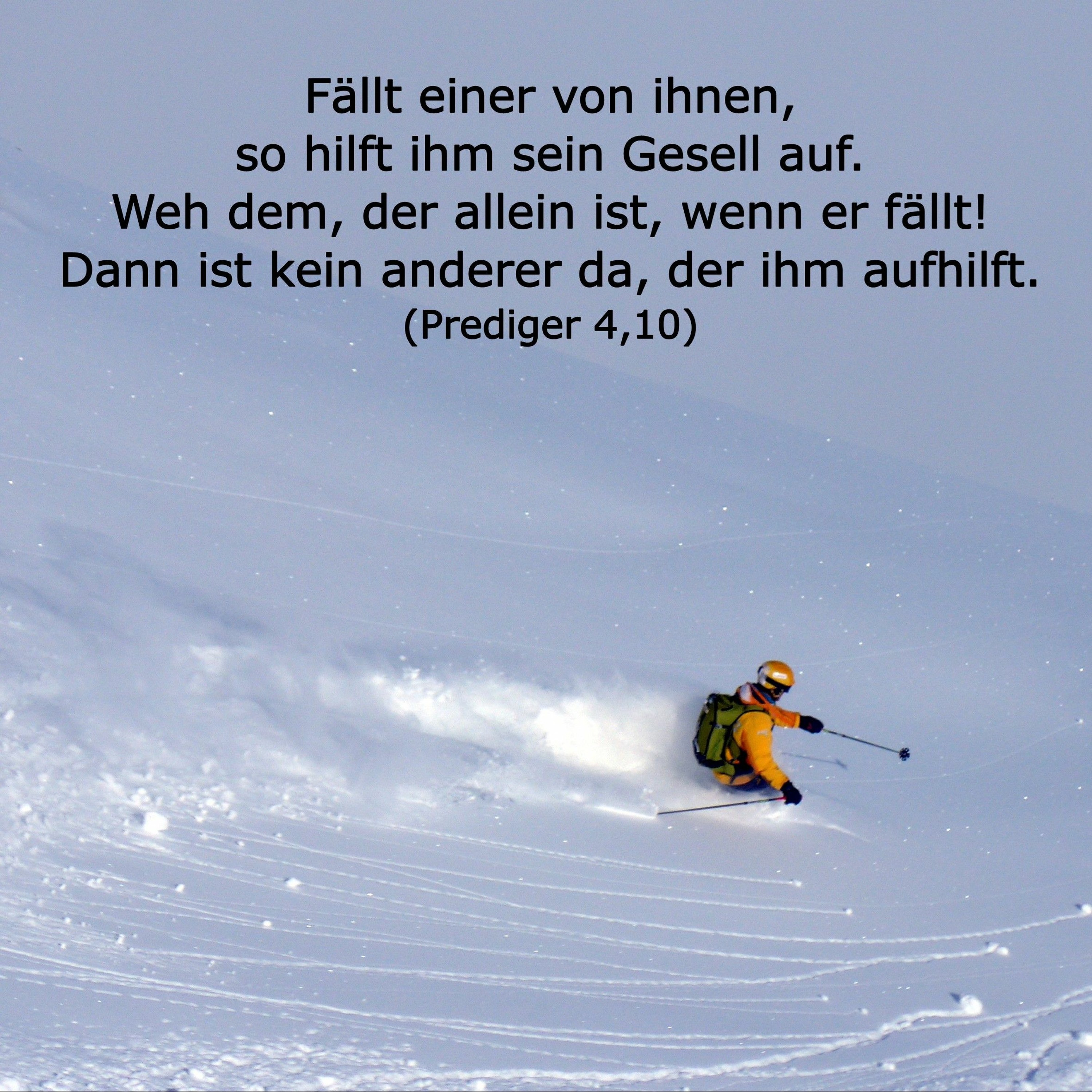 In einem Jahr durch die Bibel