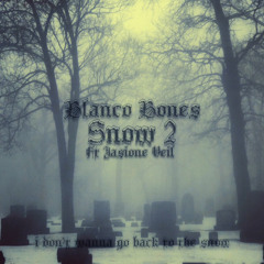 snow 2 (ft. Jasione Veil)