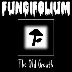 05 - Fungifolium - Friday (Rebecca Black Metal Mix)
