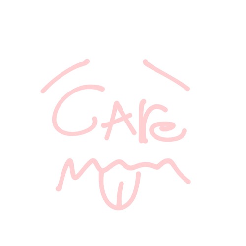 slayr - care prod prettifun