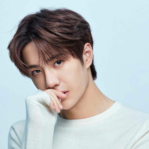Stream Dedica | Listen to Wang Yibo 🤍 王一博 playlist online for