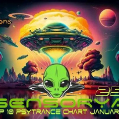 SENSORYA PSYCHILL TO PSYTRANCE 06-02-2025