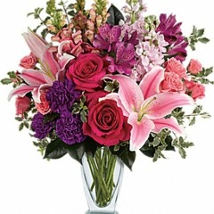 Cheap Blossoms Buy Flowers Online In Dubai