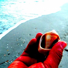 NOISES FROM MEXICO W/ BALAM RONAN 311224