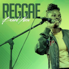 Reggae 2024  [new]