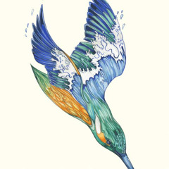 Halcyon of the Acacia Strain