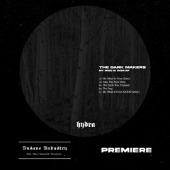 𝐏𝐑𝐄𝐌𝐈𝐄𝐑𝐄 | The Dark Makers - Take The Next Door (Original Mix)[HYD01]