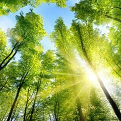 Soak Up The Sun (slowed + Verbed)