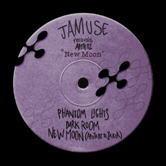 Apoteoz - Phantom Lights ( PREVIOUS )