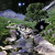 Artwork for Round the Bend