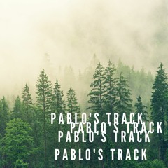 Pablo's Track