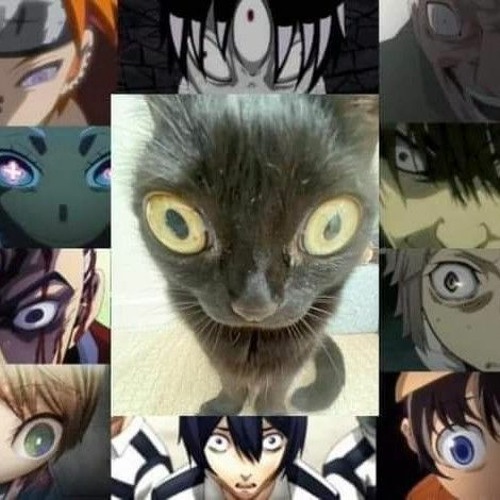 -.-