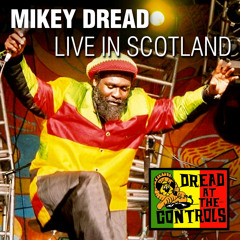 Reggae Gone International / Warrior Stylee / Jumping Master / Barber Saloon / Rub a Dub