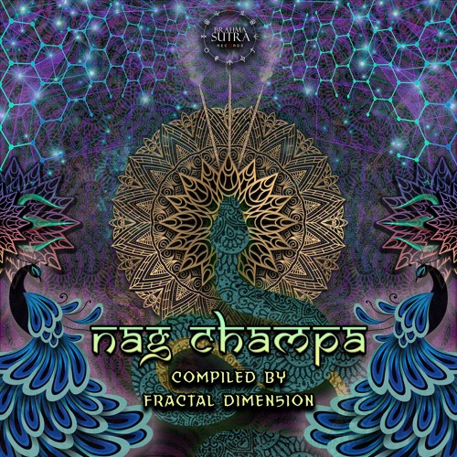 Chakraview & Cosmic Brahma - Tapasya (Tolatol mix)_VA NAG CHAMPA (BRAHMASUTRA RECS)
