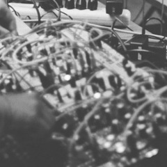 chimpwave_deux [081325]
