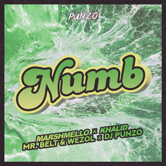 Marshmello x Khalid x Mr. Belt & Wezol - Numb (DJ Punzo Genesis Mix)