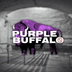 @ Purple Buffalo 11.05.23