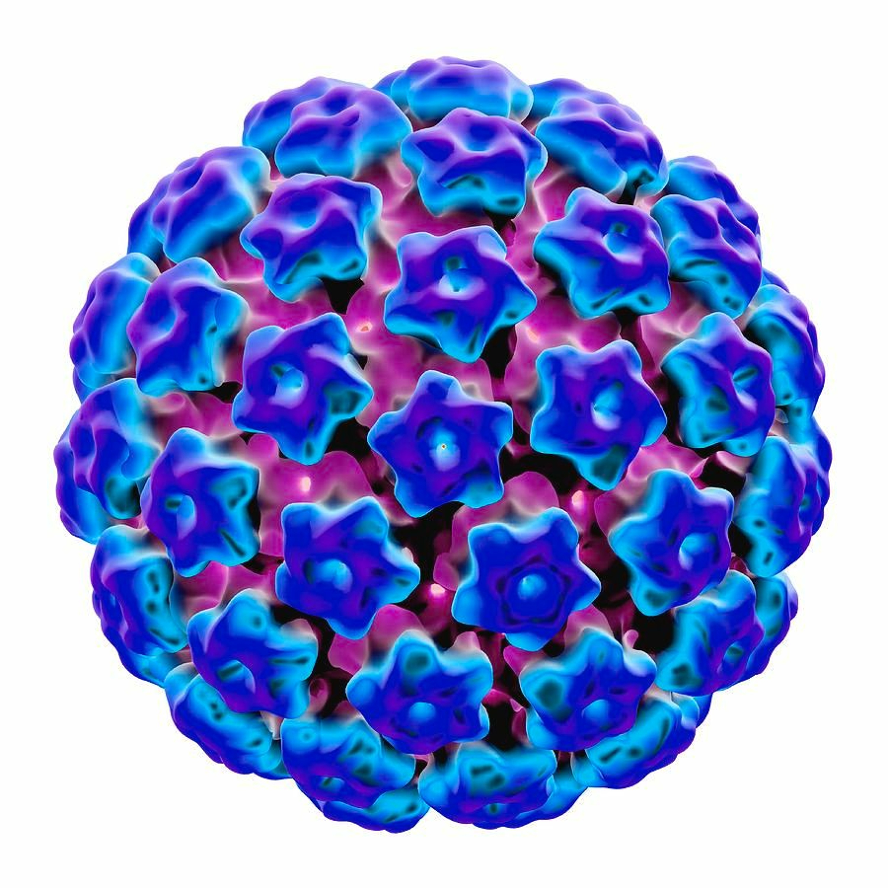 Papilloma Virus episode artwork