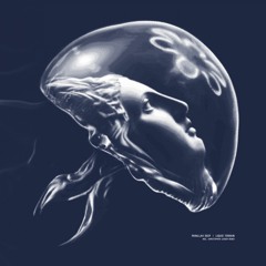Liquid