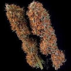 Music To Put Hairs On Your Buds (disquiet0669)