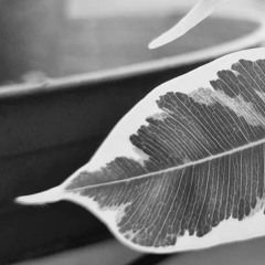 Featherlight