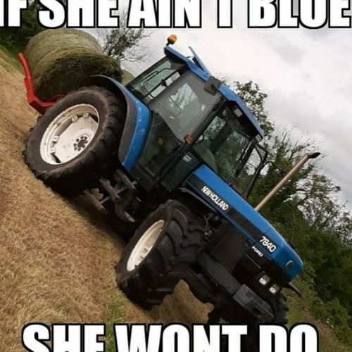 Dont be shy