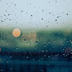 雨に濡れて In_the_rain