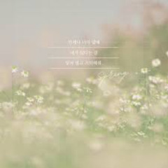 예수의 정공 하루 전 마음(Prod.시우)