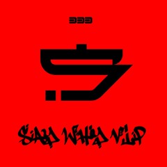 333-01 Say Why 2024 VIP