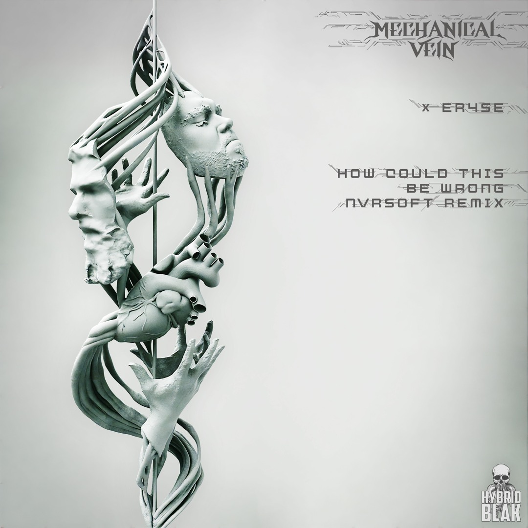 Nvrsoft Stream Mechanical Vein - How Could This Be Wrong (Ft. ER4SE) (Nvrsoft ...
