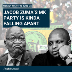 Jacob Zuma’s MK party is kinda falling apart - 5 June 25