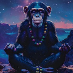 Dj Liquid-Back In The Day Bouncey House.