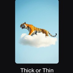 Thick or Thin.mp3