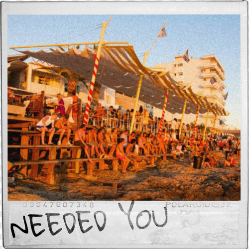Ryan Nicholls - Needed You