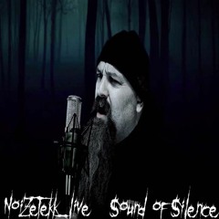 NoiZeTekk_live - Sound Of Silence (Tood Hoffman Cover)