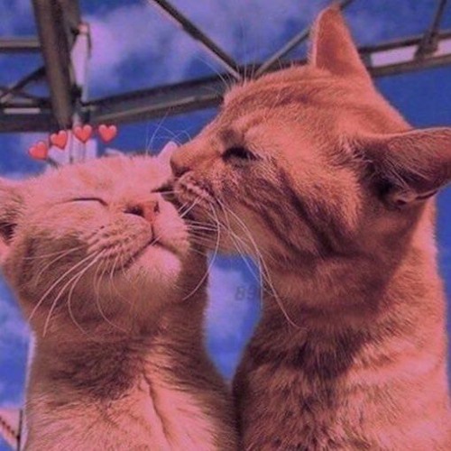 Anh Biet Em Cung Biet - Ngơ X Ngân [Chillin' on da clouds flip]