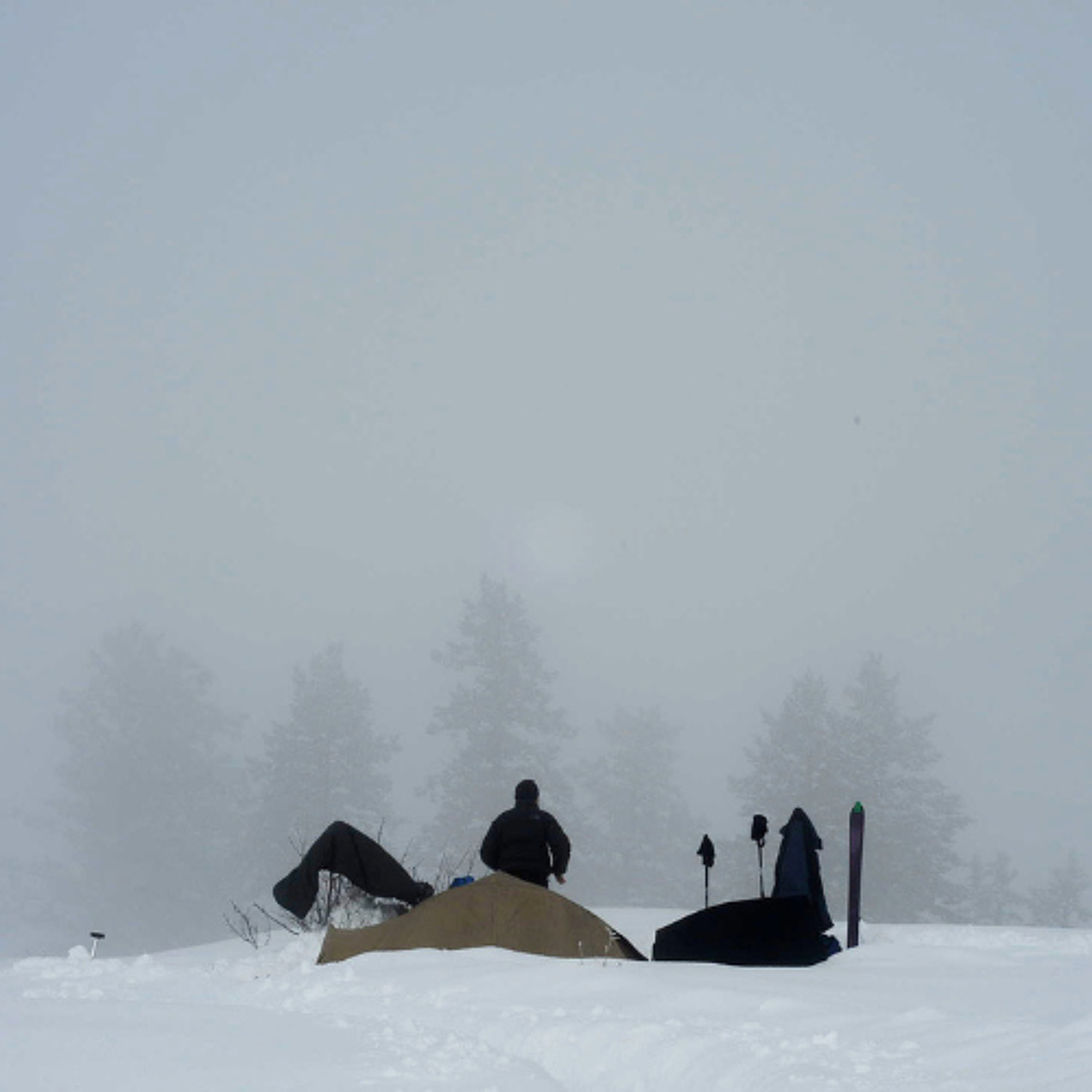CLIMATE BREAKDOWN Reports: How Black Carbon & Wildfires Flip the Switch on Mountain Snow Melt episode artwork