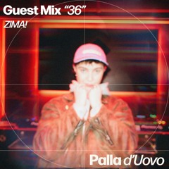 PDU Guest Mix 36 - ZIMA!