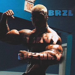 brzl  - h3avy luxury SLOWED