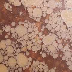 submarine communications cable (9600 baud)