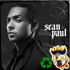 ♻️ Sean Paul - Temperature (BoTEKKe Remix) [TEKK] ♻️