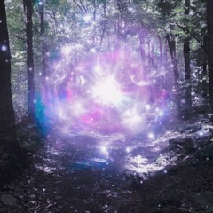 project tree ft migo (zyonova)