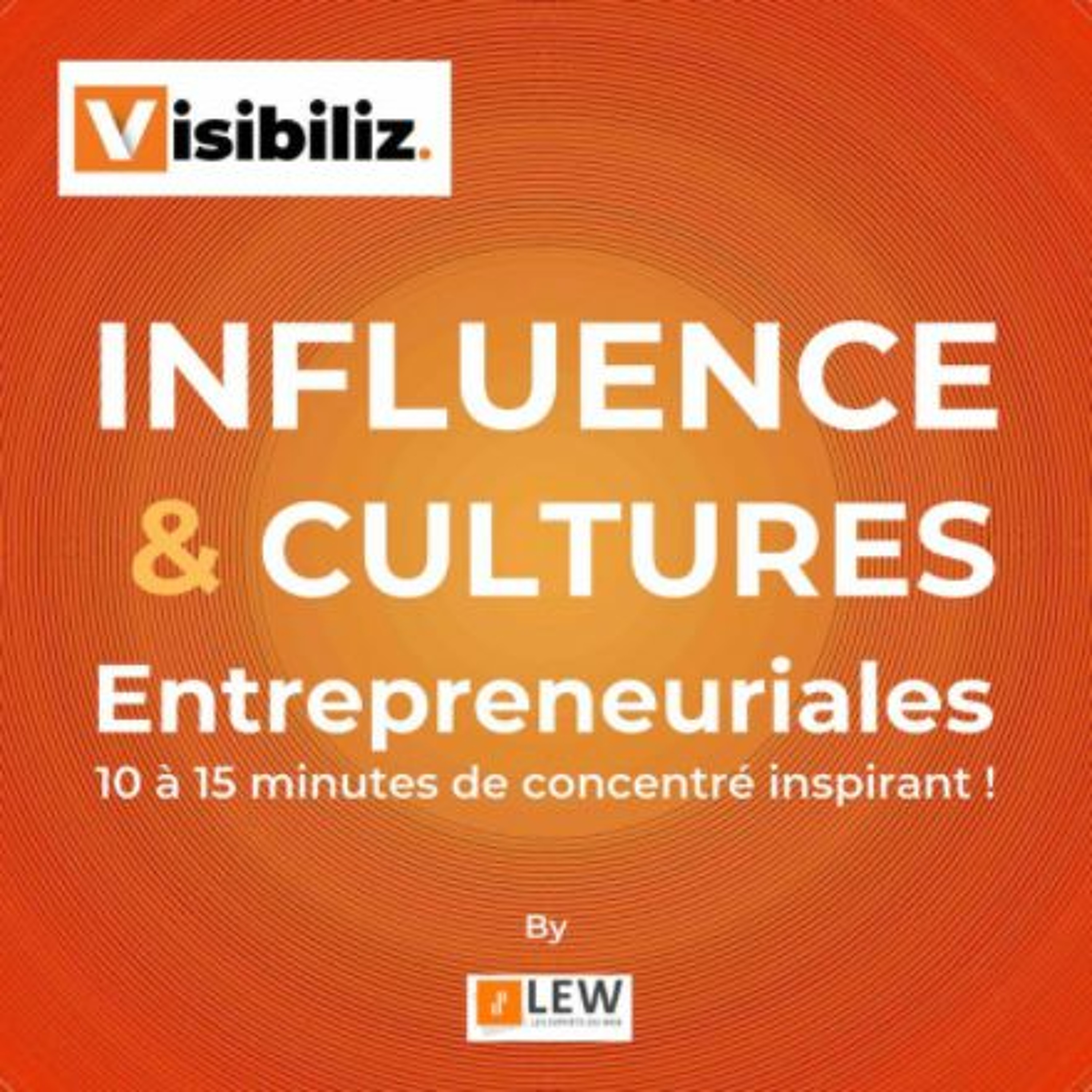 Visibiliz by Les Experts du Web