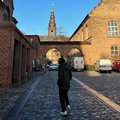 Copenhagen Nights (prod. Yung Blasian)