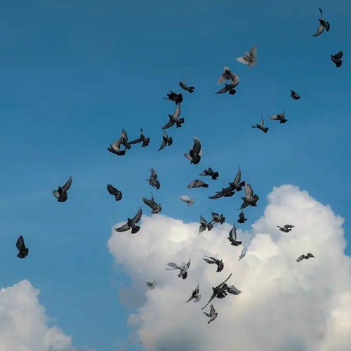 Fera_by_Shohojia_&_Band_Lalon(256k).mp3