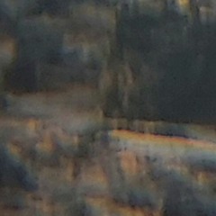 Porque é que eu ainda tento