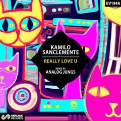 Really Love U (Analog Jungs Remix)