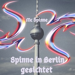 Spinne in Berlin gesichtet
